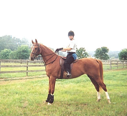 Whendy 10 22 01 under saddle.jpg (30446 bytes)